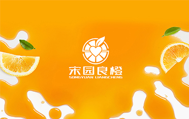 某良橙——天津LOGO设计